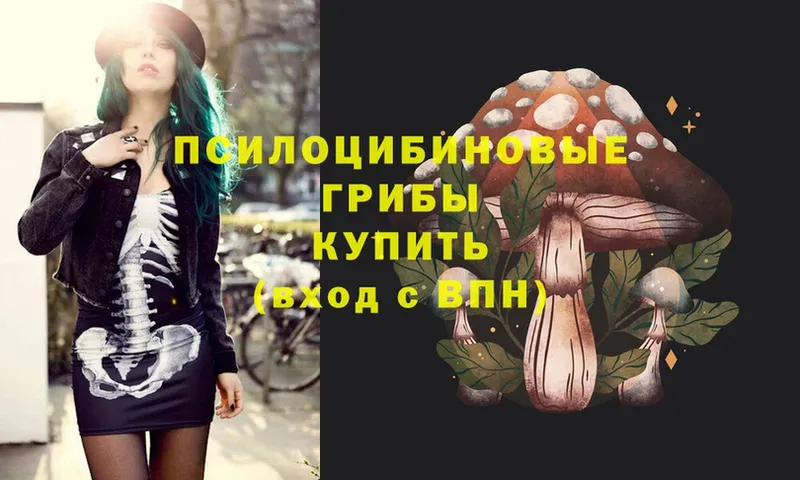 хочу   Опочка  Галлюциногенные грибы Psilocybine cubensis 